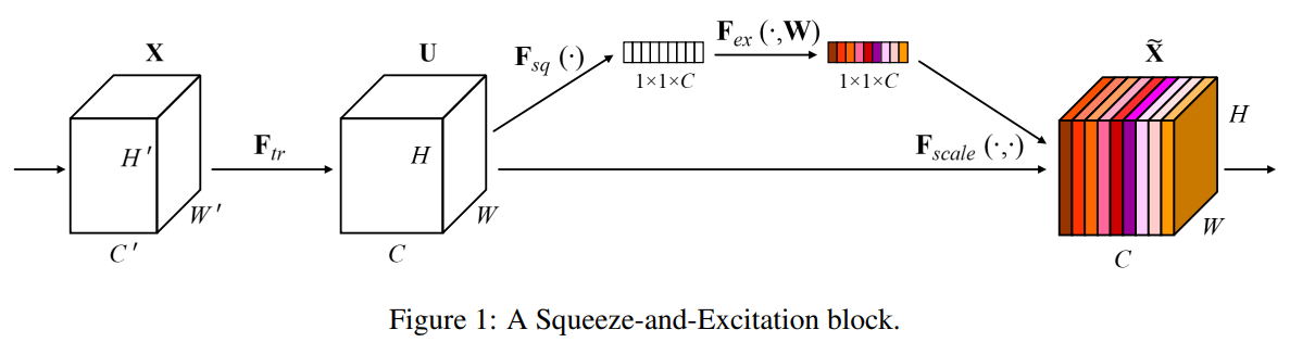 image-20220303105026825
