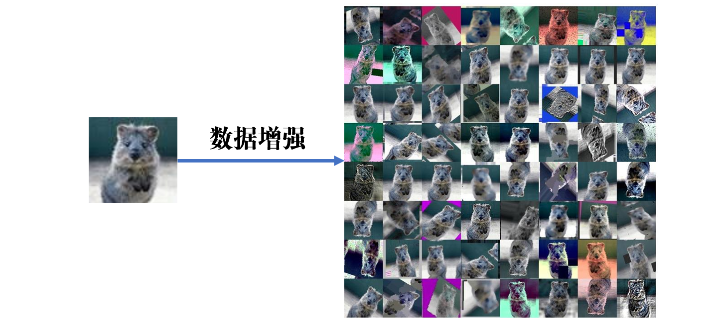 image-20200820223726630