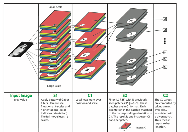 image-20220703113605577